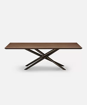 BALY_wood top